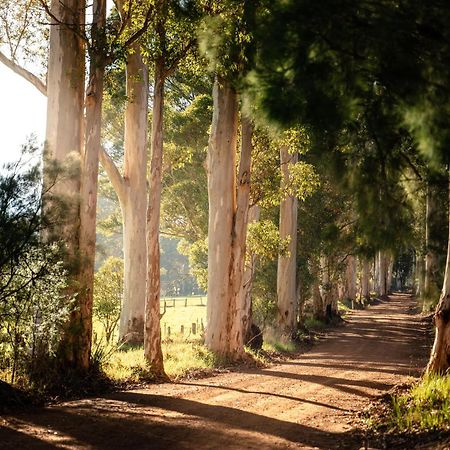 Karrak Reach Forest Retreat Denmark Esterno foto