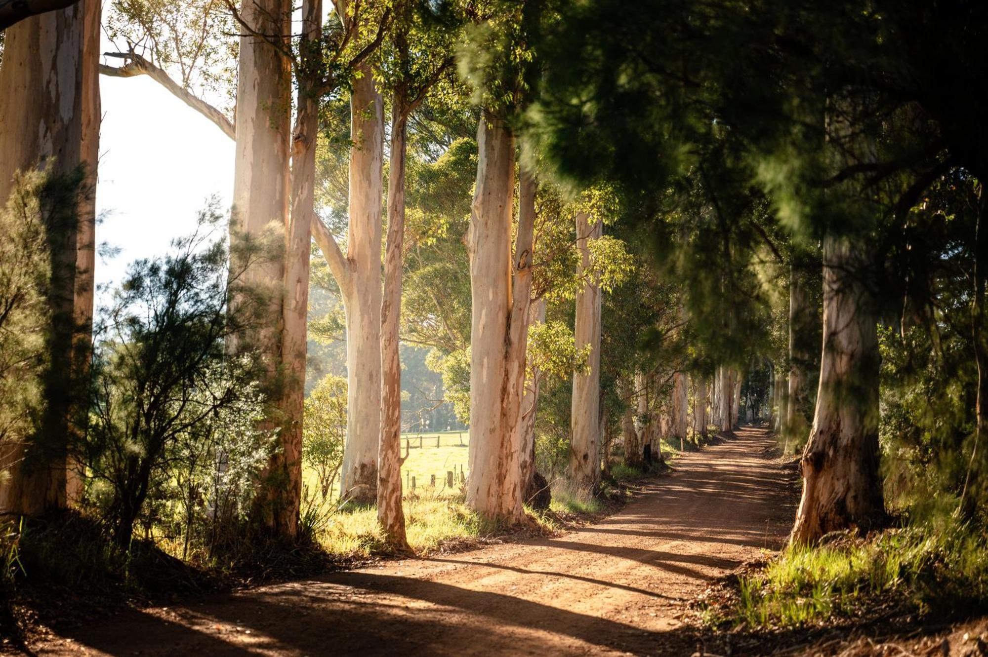 Karrak Reach Forest Retreat Denmark Esterno foto