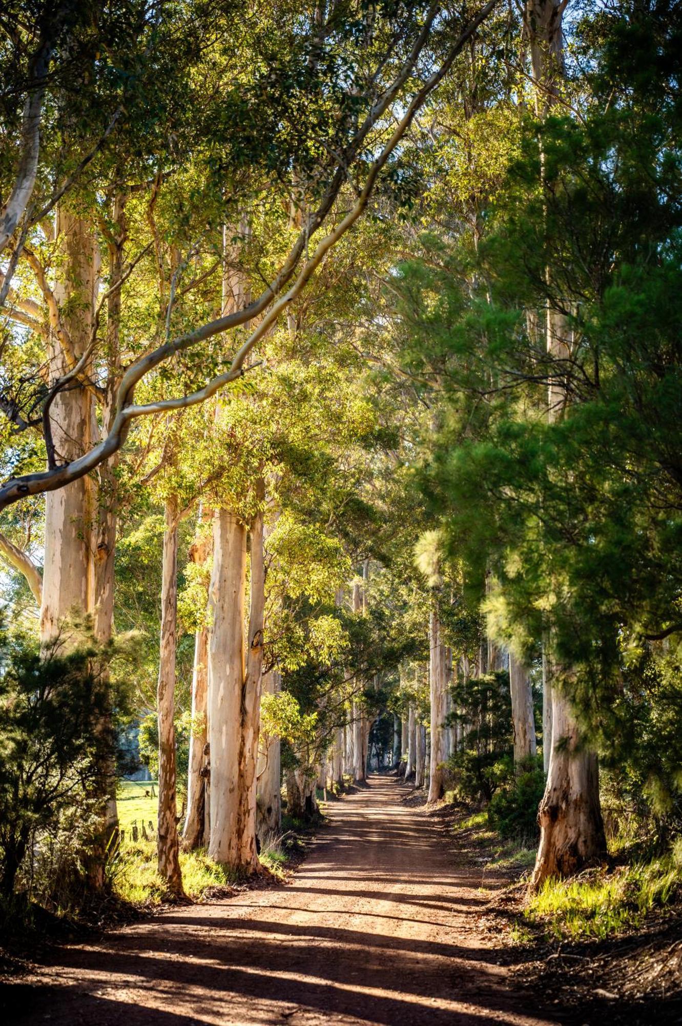 Karrak Reach Forest Retreat Denmark Esterno foto